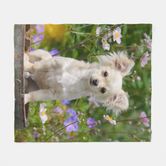 Cute long-haire Chihuahua Dog Puppy Photo - Fleece Deken (Voorkant (Horizontaal))