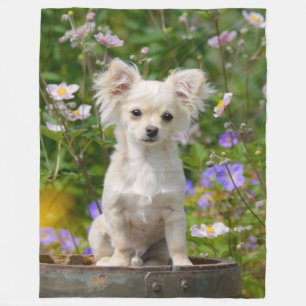Cute long-haire Chihuahua Dog Puppy Photo - Fleece Deken