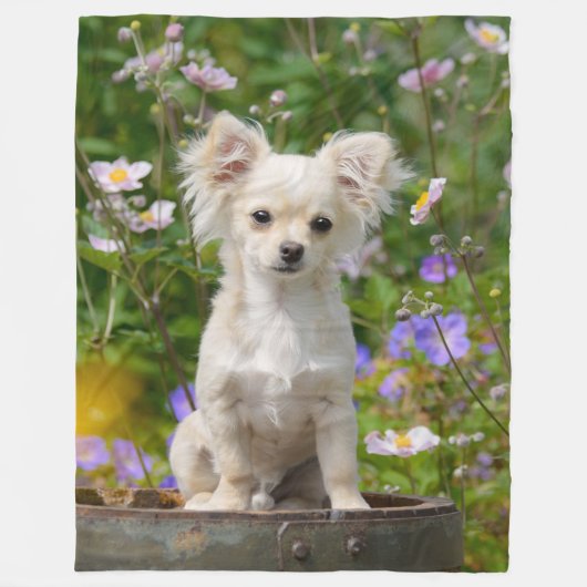 Cute long-haire Chihuahua Dog Puppy Photo - Fleece Deken (Voorkant)