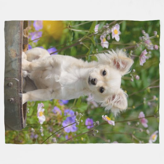 Cute long-haire Chihuahua Dog Puppy Photo - Fleece Deken (Voorkant (Horizontaal))