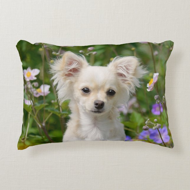 Cute long-haire Chihuahua Dog Puppy Photo - Throw Accent Kussen (Voorkant)
