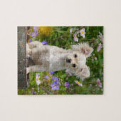 Cute long-haring crème Chihuahua Dog Puppy - Game Legpuzzel (Horizontaal)