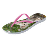 Cute long-haring crème Chihuahua Dog Puppy Photo - Teenslippers (Schuin)