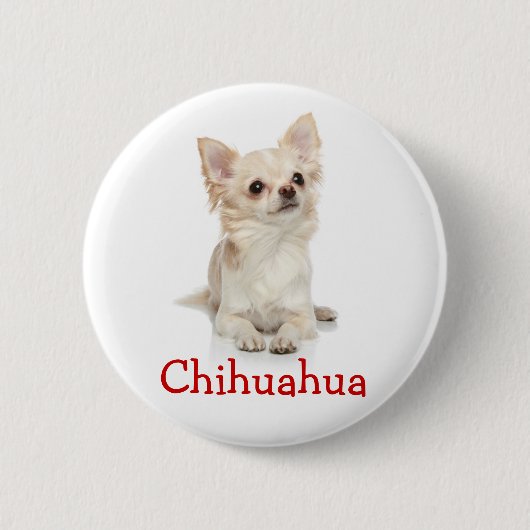 Cute Long Hazard Chihuahua Button Pin (Voorkant)