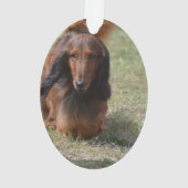 Cute Long Hazard Daschund Ornament (achterkant)