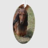 Cute Long Hazard Daschund Ornament (voorkant)