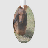 Cute Long Hazard Daschund Ornament (voorkant)