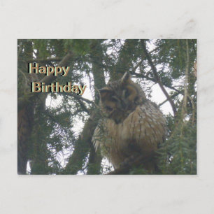 Cute Long-sorewl Happy Birthday Briefkaart
