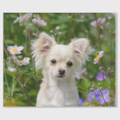 Cute longhair crème Chihuahua Dog Puppy Pet Photo Cadeaupapier (Vlak)