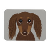 Cute Longhaire Chocolate Brown Dachshund Magneet (Horizontaal)