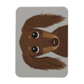 Cute Longhaire Chocolate Brown Dachshund Magneet (Verticaal)