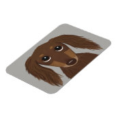 Cute Longhaire Chocolate Brown Dachshund Magneet (Linkerzijde)