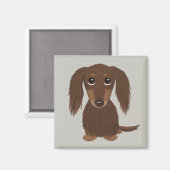Cute Longhaire Chocolate Brown Dachshund Magneet (Voorkant / Achterkant)