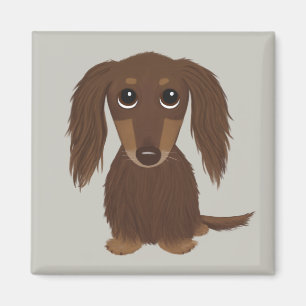 Cute Longhaire Chocolate Brown Dachshund Magneet