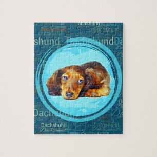 Cute Longhaire Dachshund Puppy Legpuzzel