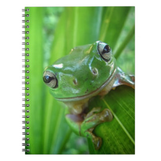 Cute look Frog Close Notitieboek