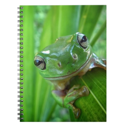 Cute look Frog Close Notitieboek (Voorkant)