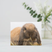 Cute lop oortbunny briefkaart (Staand voorkant)