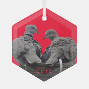 Cute Lovebird Cust. Tekstglazen versiering Glas Ornament