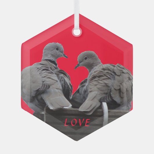 Cute Lovebird Cust. Tekstglazen versiering Glas Ornament (Voorkant)