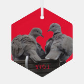 Cute Lovebird Cust. Tekstglazen versiering Glas Ornament (Achterkant)