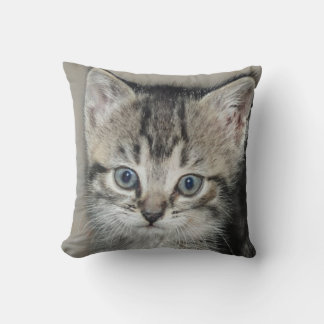Cute Loved Kitten Cat Lover Kussen
