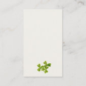 Cute Lucky Shamrock Diaper Raffle Baby shower Informatiekaartje (Achterkant)