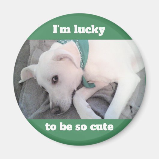 Cute Lucky White Dog met Green Scarf Magnet (Voorkant)