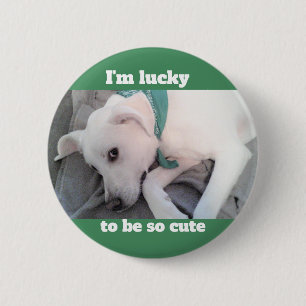Cute Lucky White Dog met Green Scarf Ronde Button 5,7 Cm