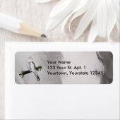 Cute Lutino Cockatiel Bird Ivy Perch Animal Etiket (Insitu)