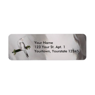 Cute Lutino Cockatiel Bird Ivy Perch Animal Etiket