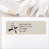 Cute Lutino Cockatiel Bird Ivy Perch Animal Etiket (Insitu)