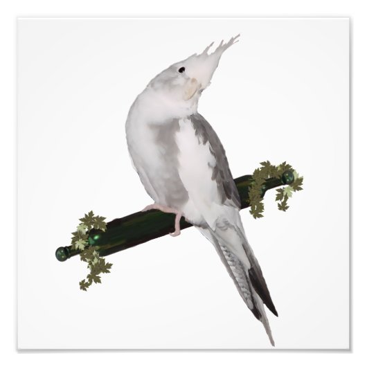 Cute Lutino Cockatiel Bird Ivy Perch Animal Foto Afdruk (Voorkant)