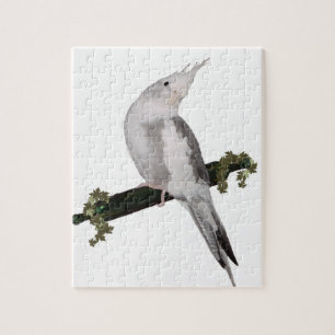 Cute Lutino Cockatiel Bird Ivy Perch Animal Legpuzzel