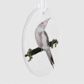 Cute Lutino Cockatiel Bird Ivy Perch Animal Ornament (voorkant)