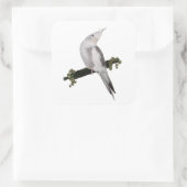 Cute Lutino Cockatiel Bird Ivy Perch Animal Vierkante Sticker (Tas)
