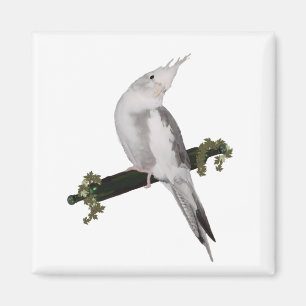 Cute Lutino Cockatiel Bird Perch Animal Magneet