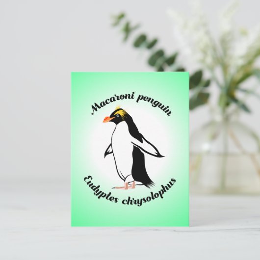 Cute Macaroni Penguin Briefkaart (Staand voorkant)
