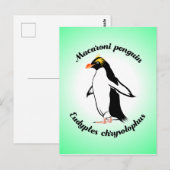 Cute Macaroni Penguin Briefkaart (Voorkant / Achterkant)