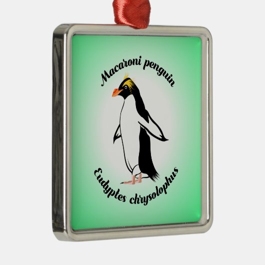 Cute Macaroni Penguin Metalen Ornament (Rechts)