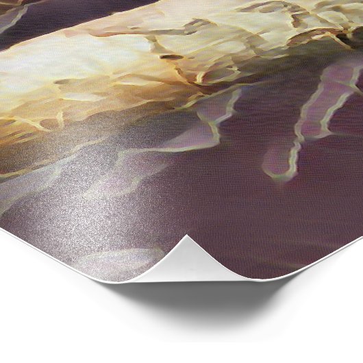 CUTE MACAW FOTO AFDRUK (Hoek)