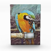 CUTE MACAW FOTOBLOKKEN (Voorkant)