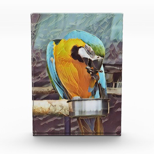 CUTE MACAW FOTOBLOKKEN (Voorkant)
