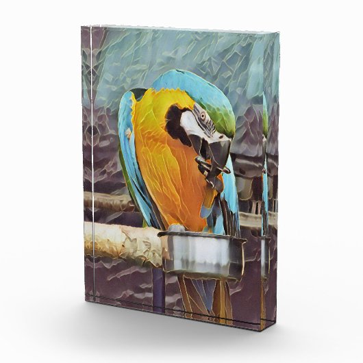 CUTE MACAW FOTOBLOKKEN (Rechts)