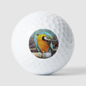 CUTE MACAW GOLFBALLEN (Voorkant)