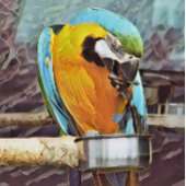 CUTE MACAW INPAKPAPIER VEL