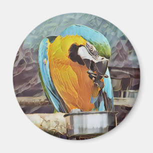 CUTE MACAW MAGNEET