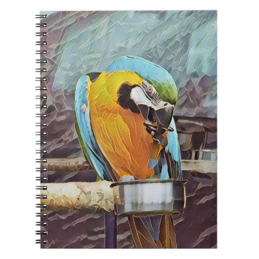 CUTE MACAW NOTITIEBOEK (Voorkant)