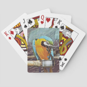 CUTE MACAW POKERKAARTEN