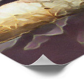 CUTE MACAW POSTER (Hoek)